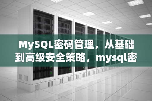 MySQL密码管理，从基础到高级安全策略，mysql密码忘了怎么查看