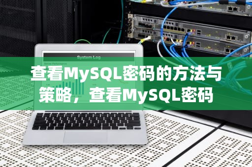 查看MySQL密码的方法与策略，查看MySQL密码