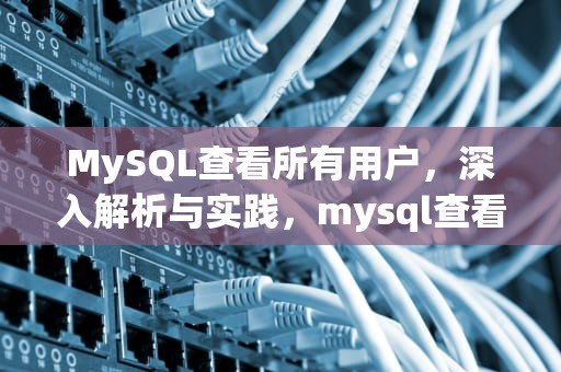 MySQL查看所有用户，深入解析与实践，mysql查看所有用户命令