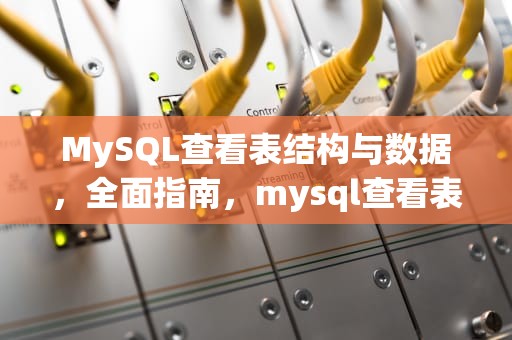 MySQL查看表结构与数据，全面指南，mysql查看表结构