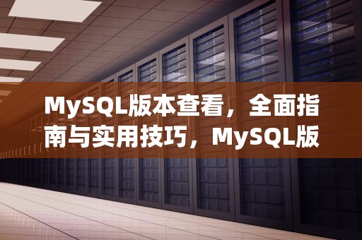 MySQL版本查看，全面指南与实用技巧，MySQL版本查看命令