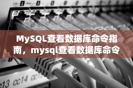 MySQL查看数据库命令指南，mysql查看数据库命令行