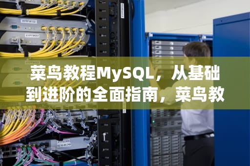 菜鸟教程MySQL，从基础到进阶的全面指南，菜鸟教程mysql安装