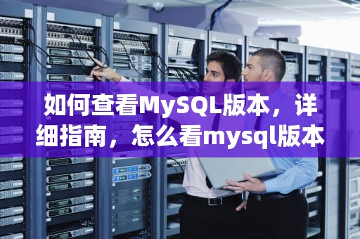 如何查看MySQL版本，详细指南，怎么看mysql版本号