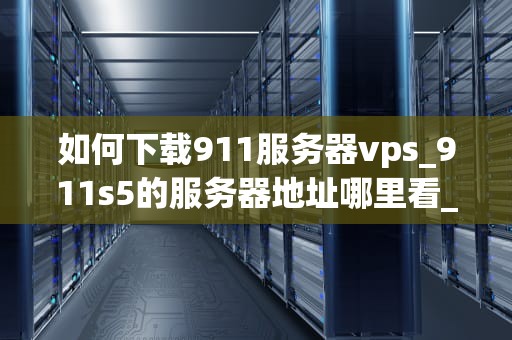 如何下载911服务器vps_911s5的服务器地址哪里看_如何下载911服务器VPS的详细指南