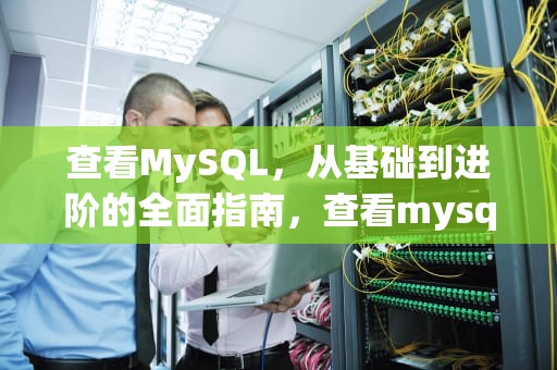 查看MySQL，从基础到进阶的全面指南，查看mysql版本