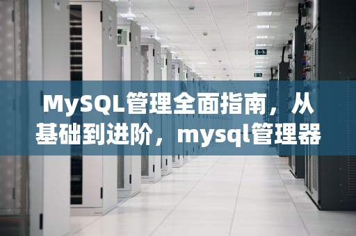 MySQL管理全面指南，从基础到进阶，mysql管理器