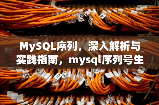 MySQL序列，深入解析与实践指南，mysql序列号生成器