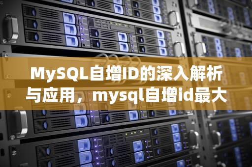 MySQL自增ID的深入解析与应用，mysql自增id最大值