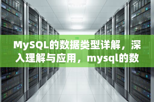 MySQL的数据类型详解，深入理解与应用，mysql的数据类型有哪些