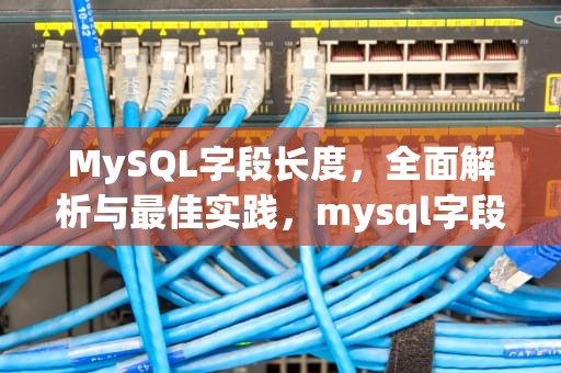 MySQL字段长度，全面解析与最佳实践，mysql字段长度判断