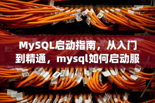 MySQL启动指南，从入门到精通，mysql如何启动服务器