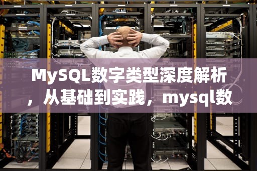 MySQL数字类型深度解析，从基础到实践，mysql数字类型怎么表示