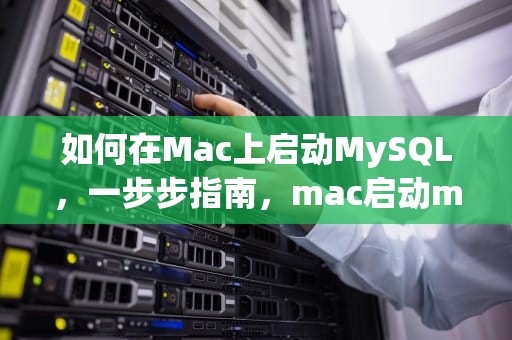 如何在Mac上启动MySQL，一步步指南，mac启动mysql服务命令