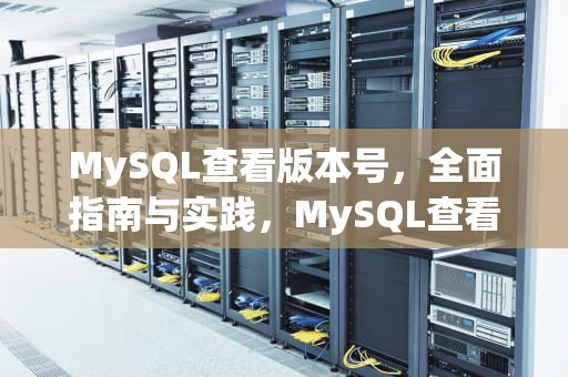 MySQL查看版本号，全面指南与实践，MySQL查看版本号命令