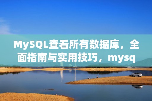 MySQL查看所有数据库，全面指南与实用技巧，mysql查看所有数据库命令