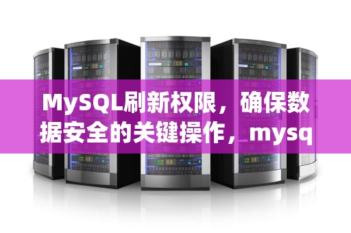 MySQL刷新权限，确保数据安全的关键操作，mysql刷新权限flush