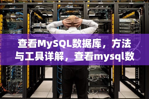 查看MySQL数据库，方法与工具详解，查看mysql数据库锁