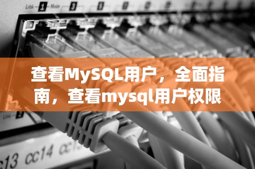 查看MySQL用户，全面指南，查看mysql用户权限