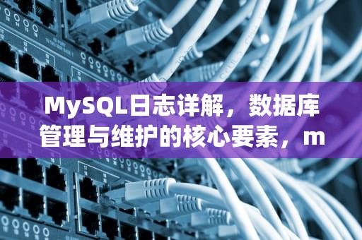 MySQL日志详解，数据库管理与维护的核心要素，mysql的日志文件是哪个