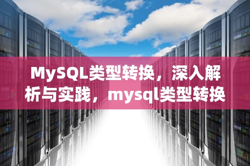 MySQL类型转换，深入解析与实践，mysql类型转换函数