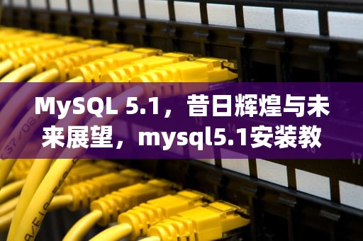MySQL 5.1，昔日辉煌与未来展望，mysql5.1安装教程