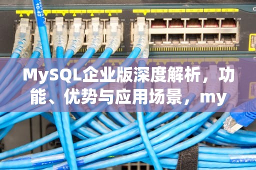 MySQL企业版深度解析，功能、优势与应用场景，mysql企业版付费标准