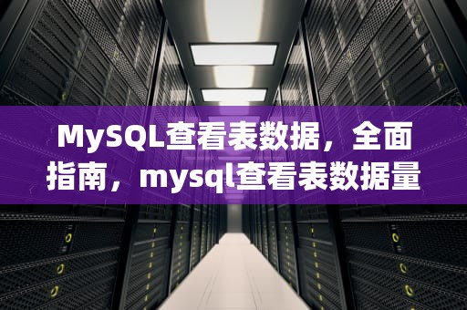 MySQL查看表数据，全面指南，mysql查看表数据量大小