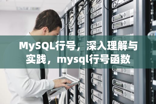 MySQL行号，深入理解与实践，mysql行号函数