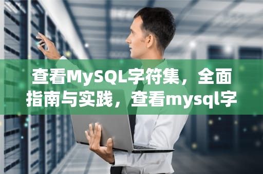 查看MySQL字符集，全面指南与实践，查看mysql字符集命令是