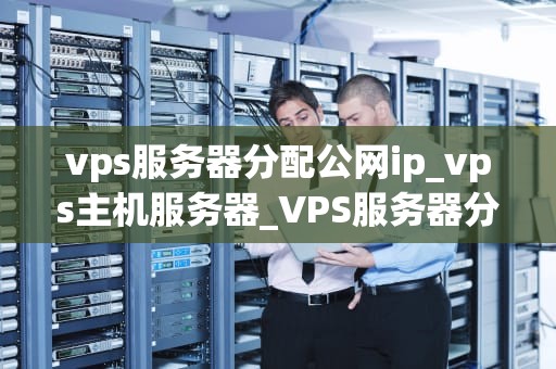 vps服务器分配公网ip_vps主机服务器_VPS服务器分配公网IP的全面解析