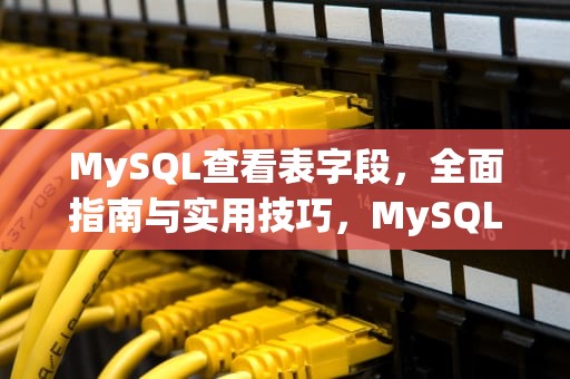MySQL查看表字段，全面指南与实用技巧，MySQL查看表字段语句