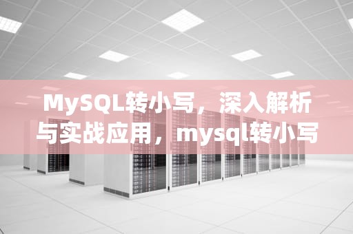 MySQL转小写，深入解析与实战应用，mysql转小写函数
