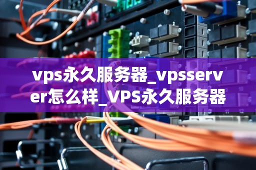 vps永久服务器_vpsserver怎么样_VPS永久服务器的优势与应用