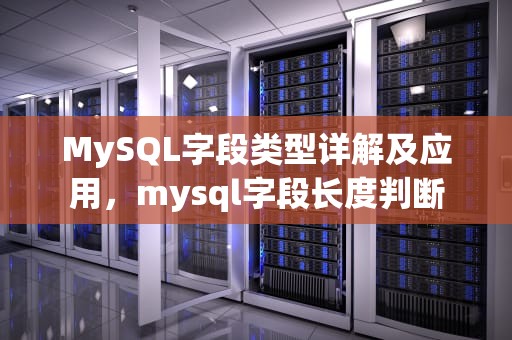 MySQL字段类型详解及应用，mysql字段长度判断