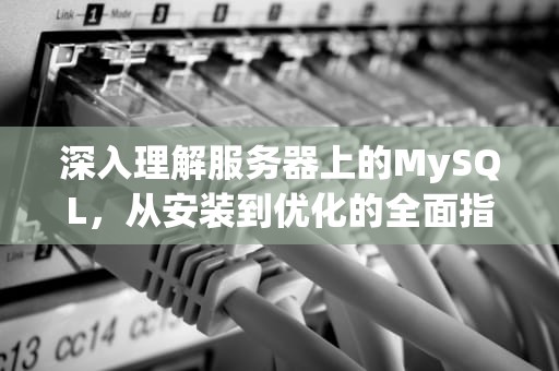 深入理解服务器上的MySQL，从安装到优化的全面指南，服务器mysql异常停止
