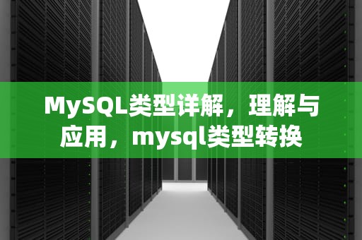 MySQL类型详解，理解与应用，mysql类型转换
