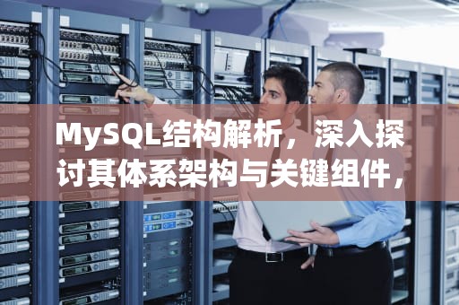 MySQL结构解析，深入探讨其体系架构与关键组件，mysql结构图