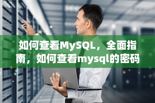 如何查看MySQL，全面指南，如何查看mysql的密码是多少