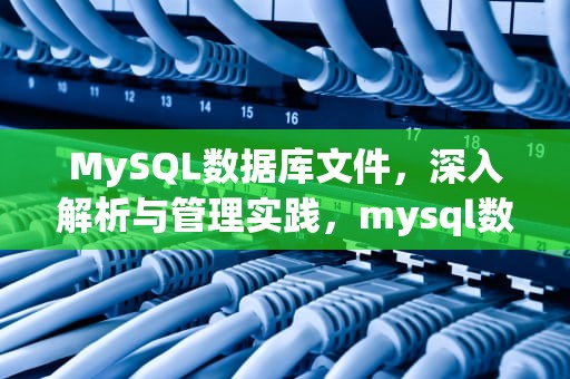 MySQL数据库文件，深入解析与管理实践，mysql数据库文件扩展名