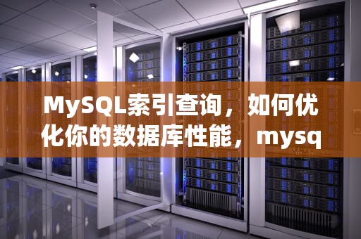 MySQL索引查询，如何优化你的数据库性能，mysql索引查询过程