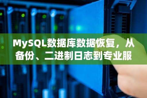 MySQL数据库数据恢复，从备份、二进制日志到专业服务的全面指南，MySQL数据库数据恢复工具