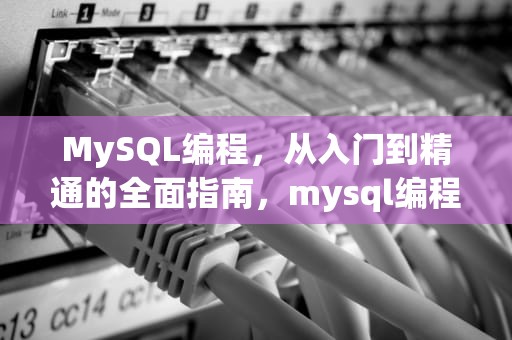 MySQL编程，从入门到精通的全面指南，mysql编程培训班