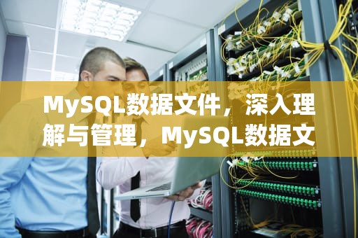 MySQL数据文件，深入理解与管理，MySQL数据文件类型中,下列表示索引文件的是
