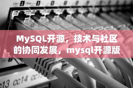 MySQL开源，技术与社区的协同发展，mysql开源版本
