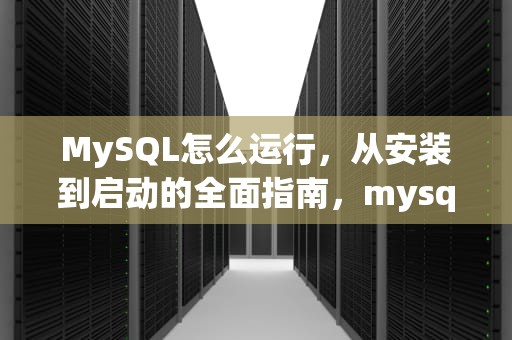 MySQL怎么运行，从安装到启动的全面指南，mysql怎么运行程序