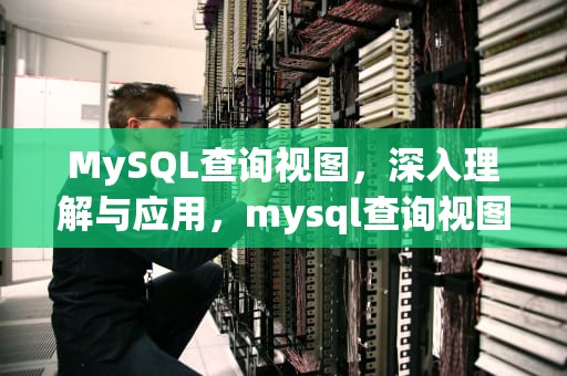 MySQL查询视图，深入理解与应用，mysql查询视图中的数据