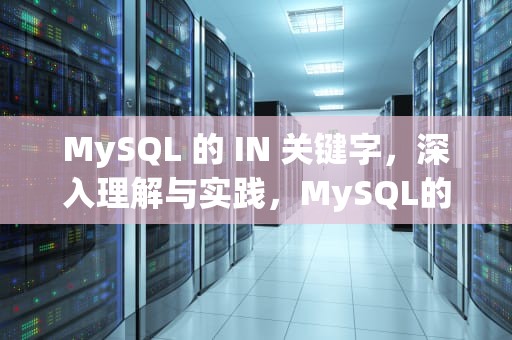 MySQL 的 IN 关键字，深入理解与实践，MySQL的insert语句