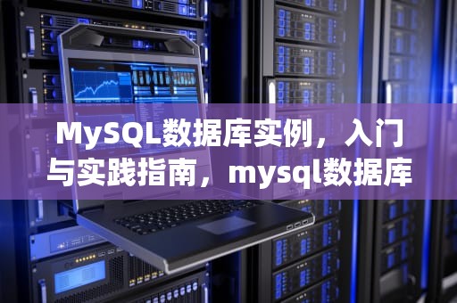 MySQL数据库实例，入门与实践指南，mysql数据库实例名怎么查看