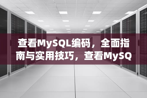 查看MySQL编码，全面指南与实用技巧，查看MySQL编码